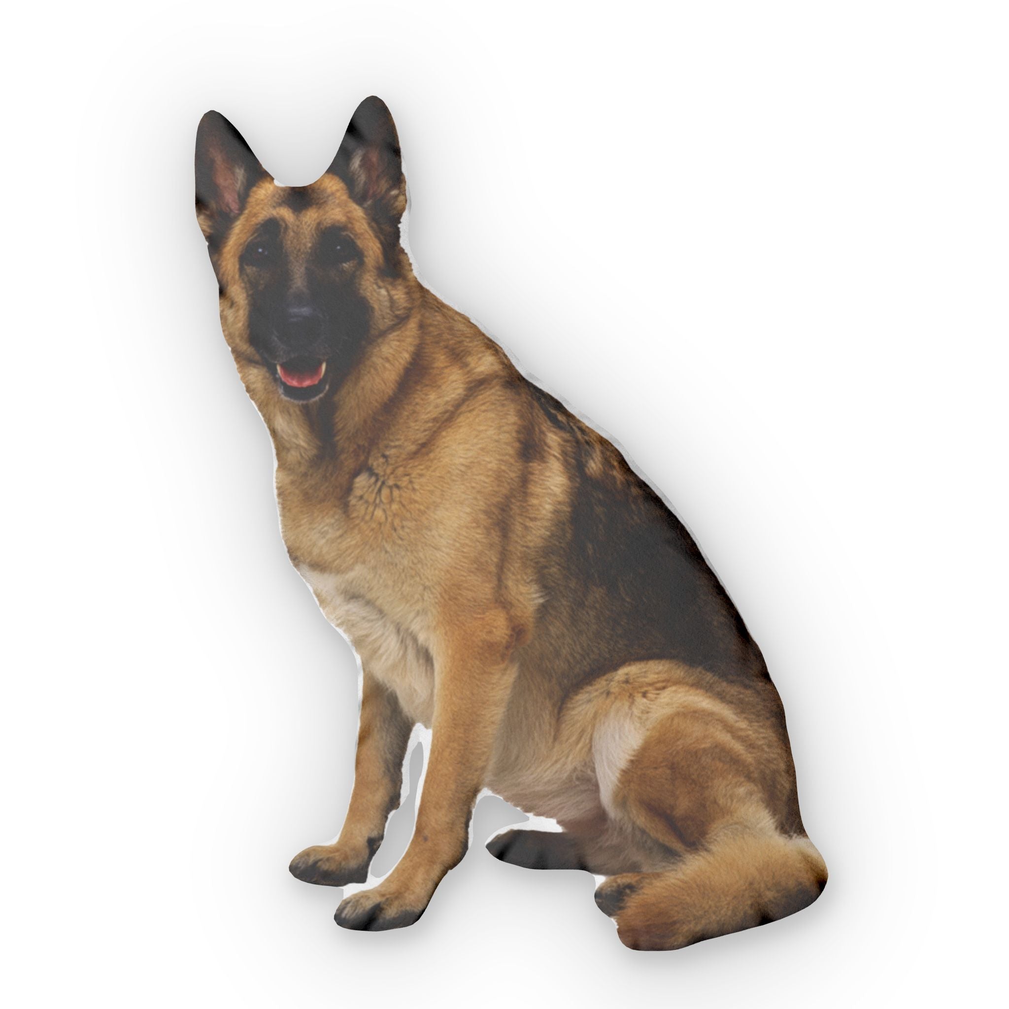 Custom Shaped Pillows