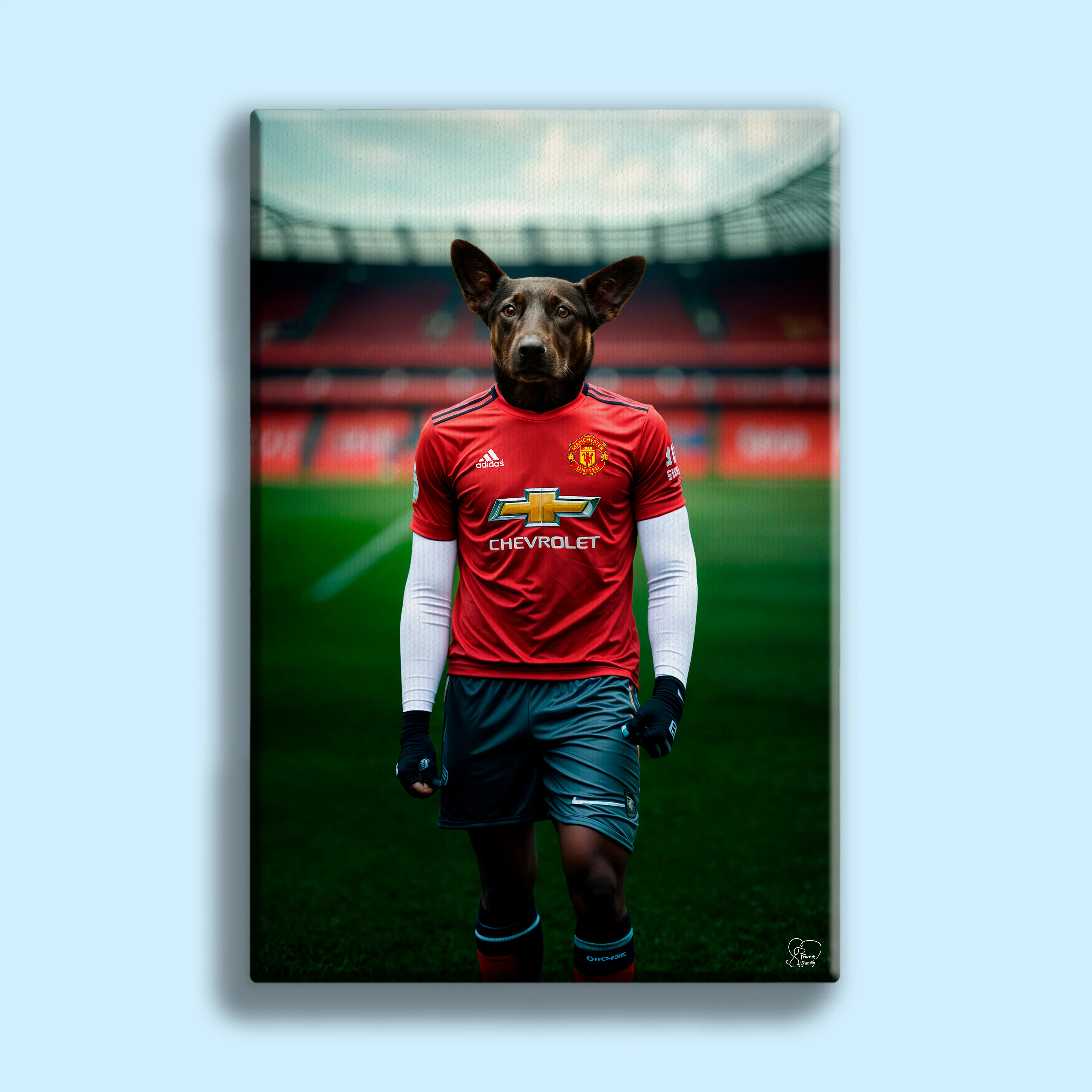 Custom Pet Portrait in Manchester United Jersey – Personalized Football-Themed Pet Art
