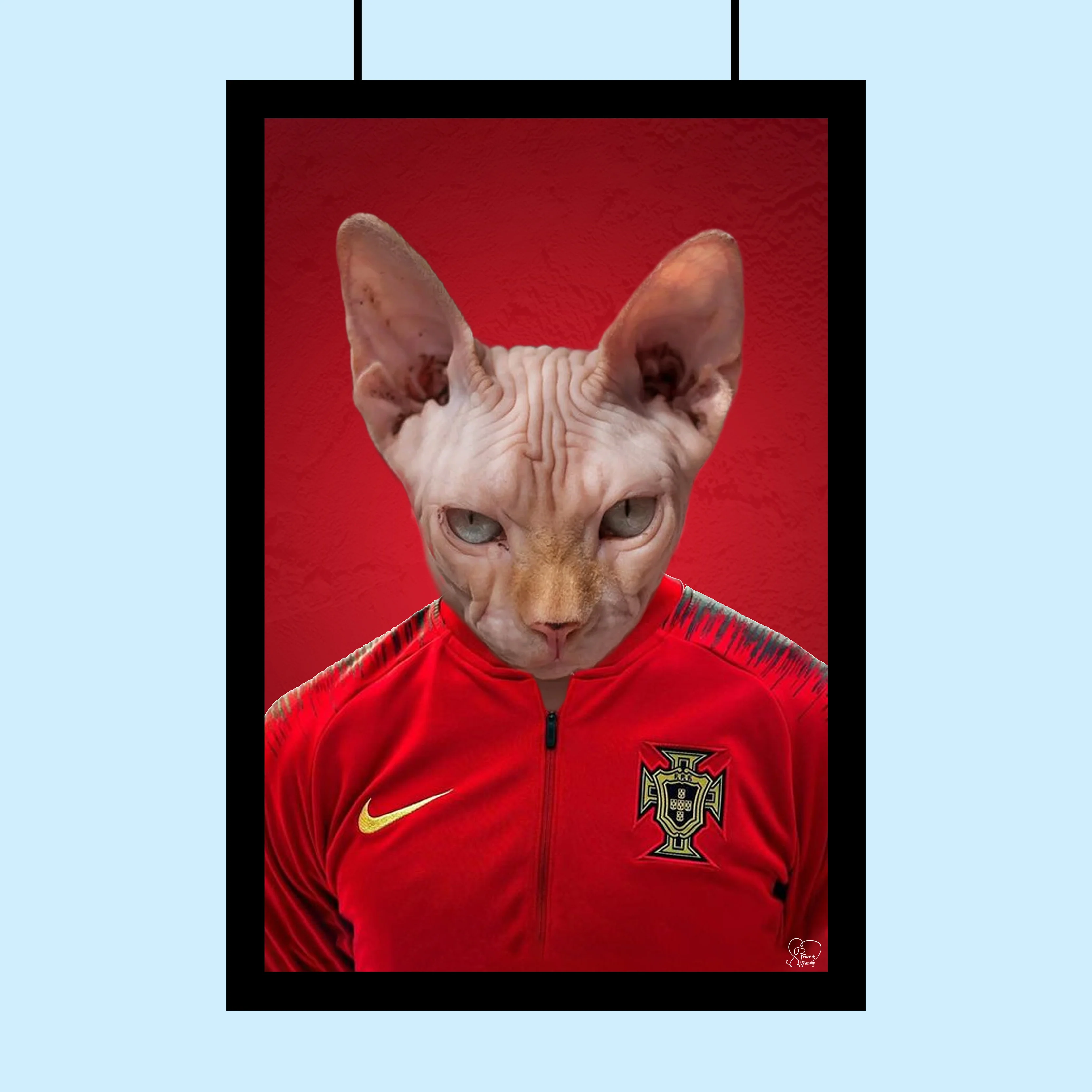 Portuguese Football Champion Sphynx Cat Custom Pet Portrait | Personalized Pet Art