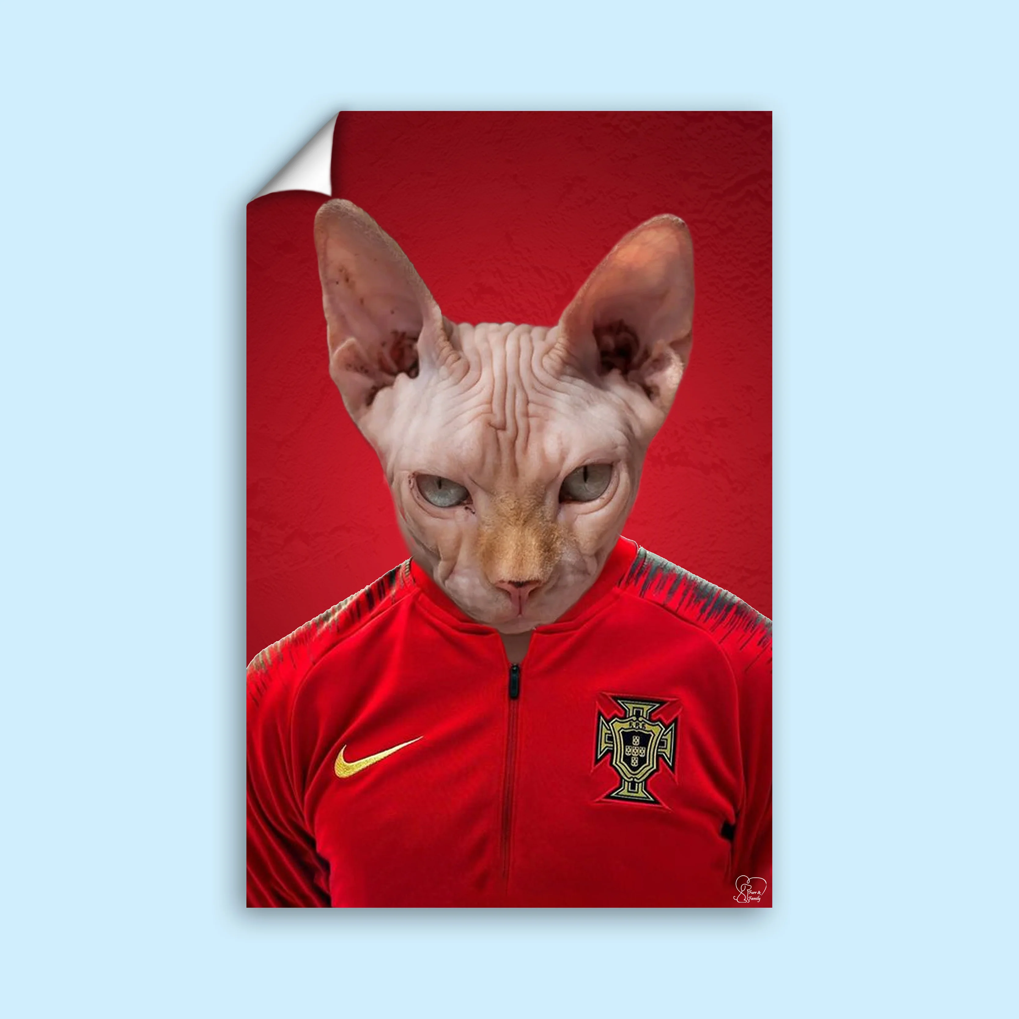 Portuguese Football Champion Sphynx Cat Custom Pet Portrait | Personalized Pet Art