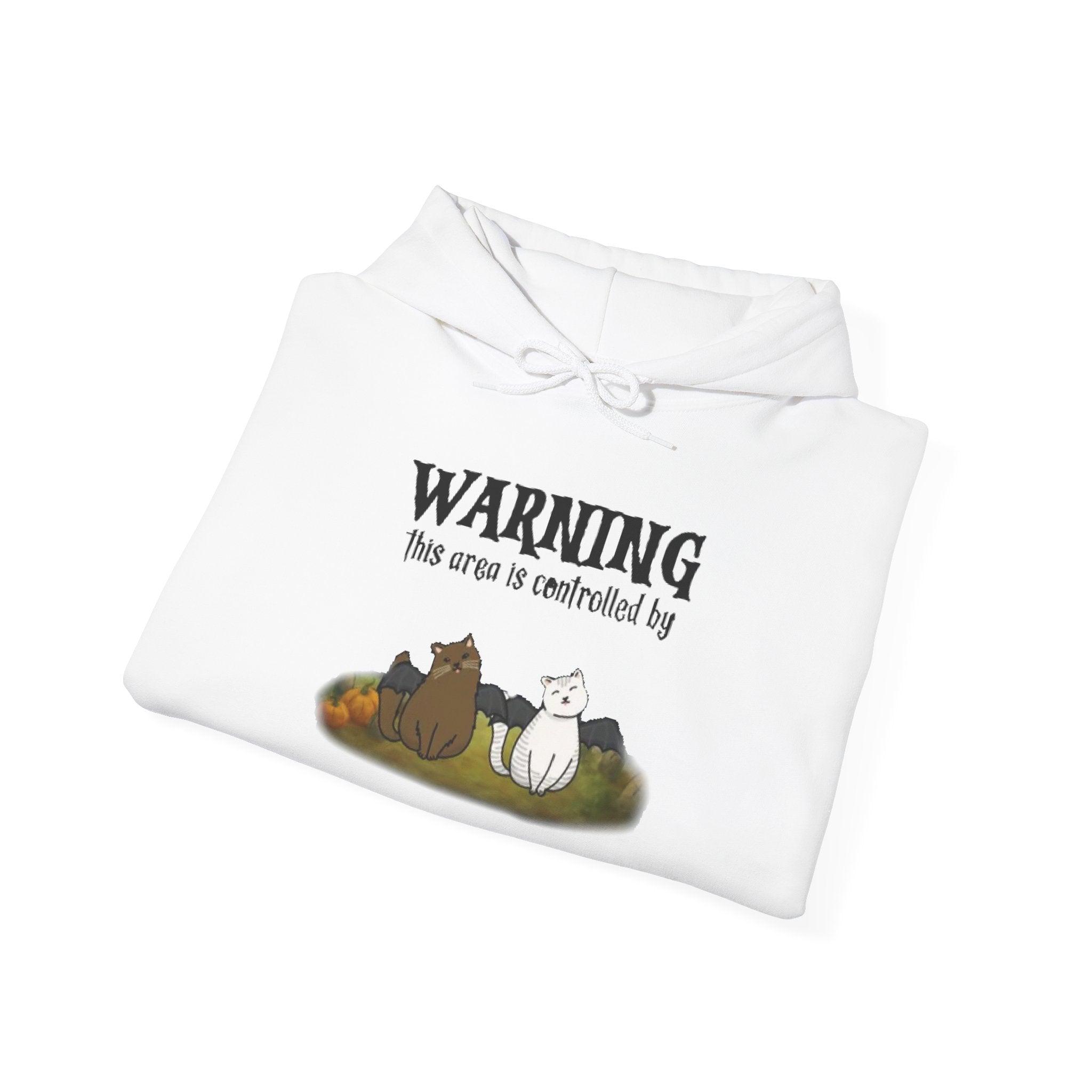 Warning this area is controlled by | Unisex Heavy Blend Hooded Sweatshirt