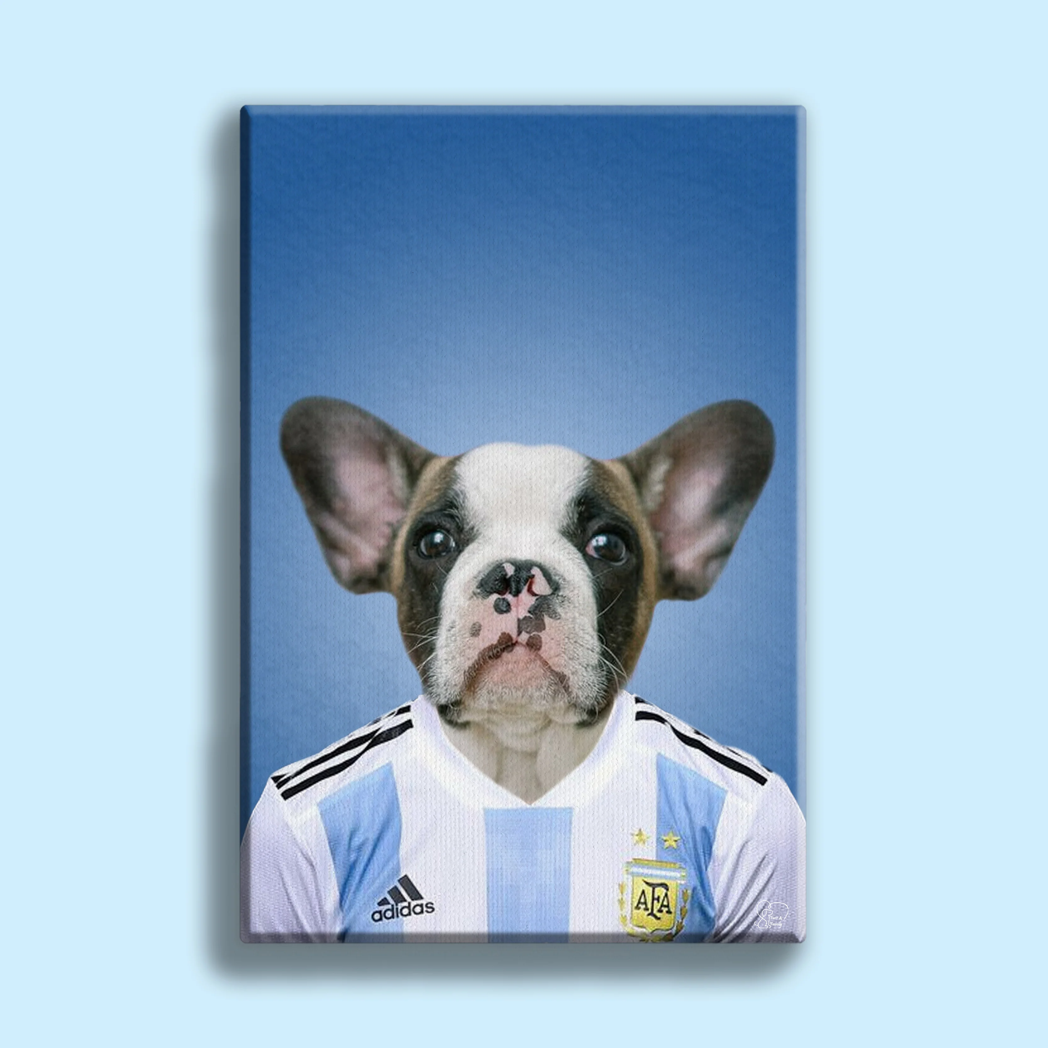 Argentinian Football Star Custom Pet Portrait | Personalized Pet Sports Art