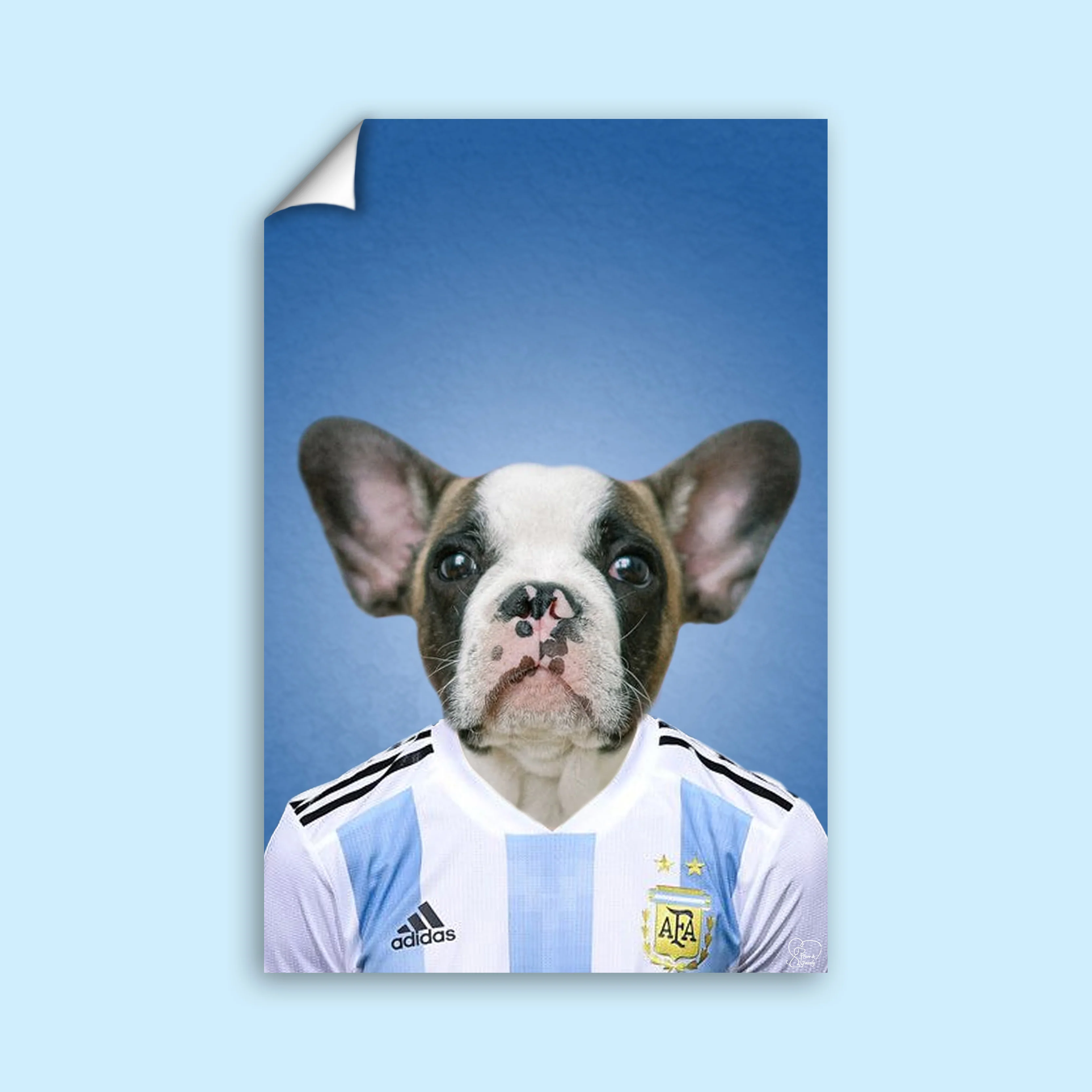 Argentinian Football Star Custom Pet Portrait | Personalized Pet Sports Art