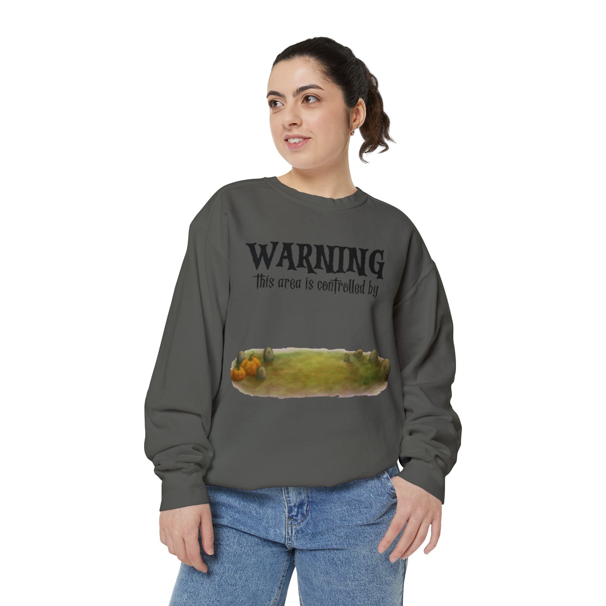 Warning this Area is Controlled by Dog | Unisex Garment-Dyed Sweatshirt