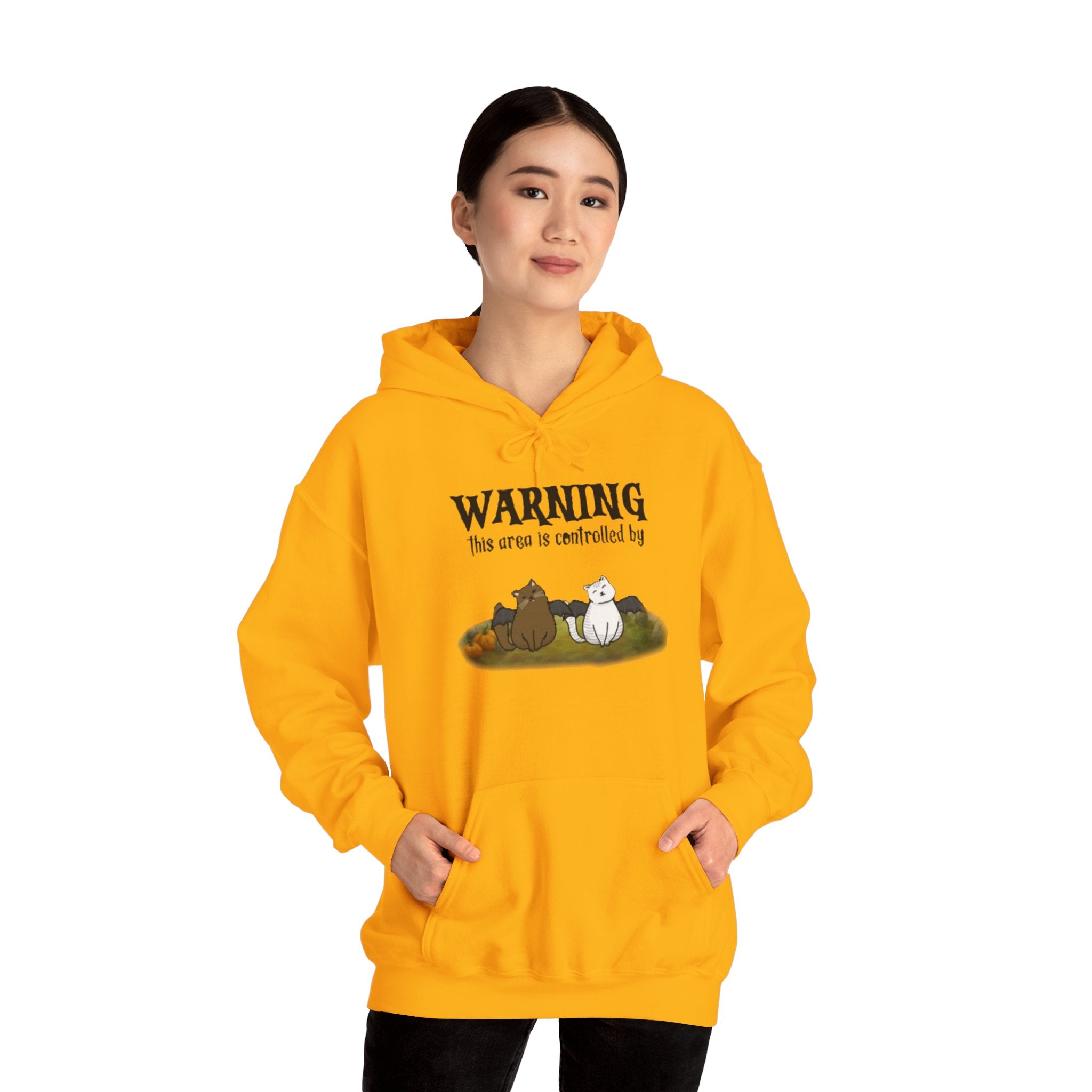 Warning this area is controlled by | Unisex Heavy Blend Hooded Sweatshirt