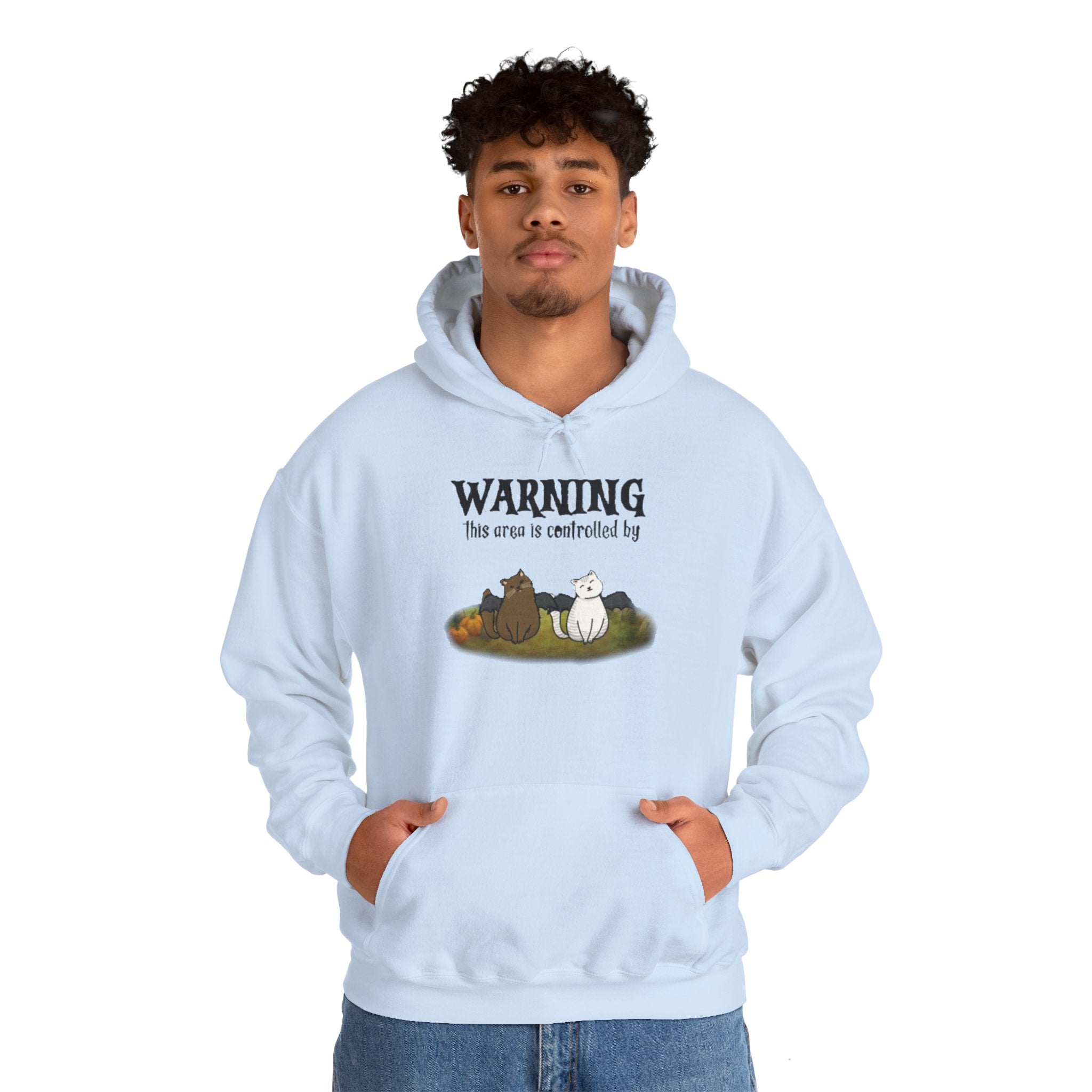 Warning this area is controlled by | Unisex Heavy Blend Hooded Sweatshirt