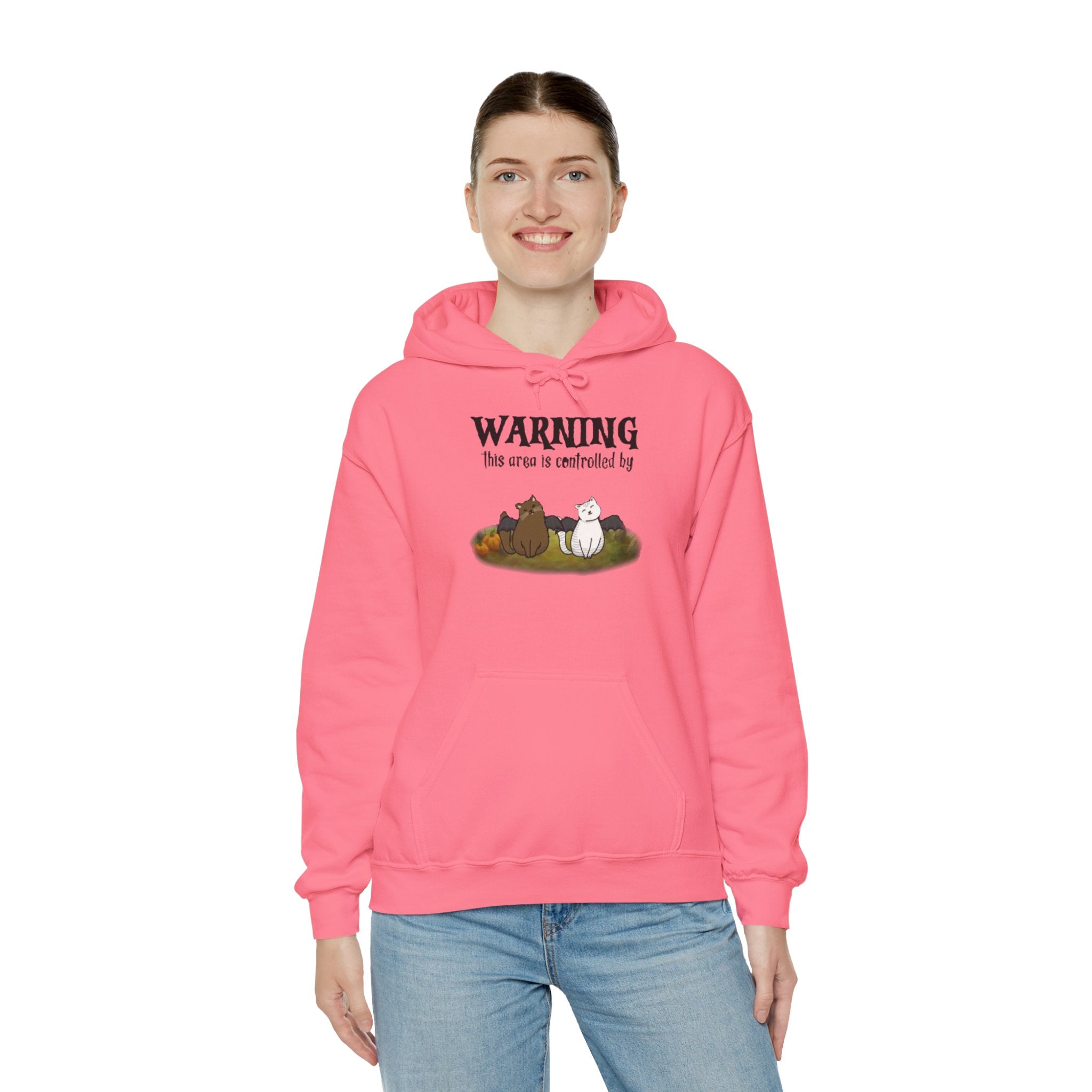Warning this area is controlled by | Unisex Heavy Blend Hooded Sweatshirt