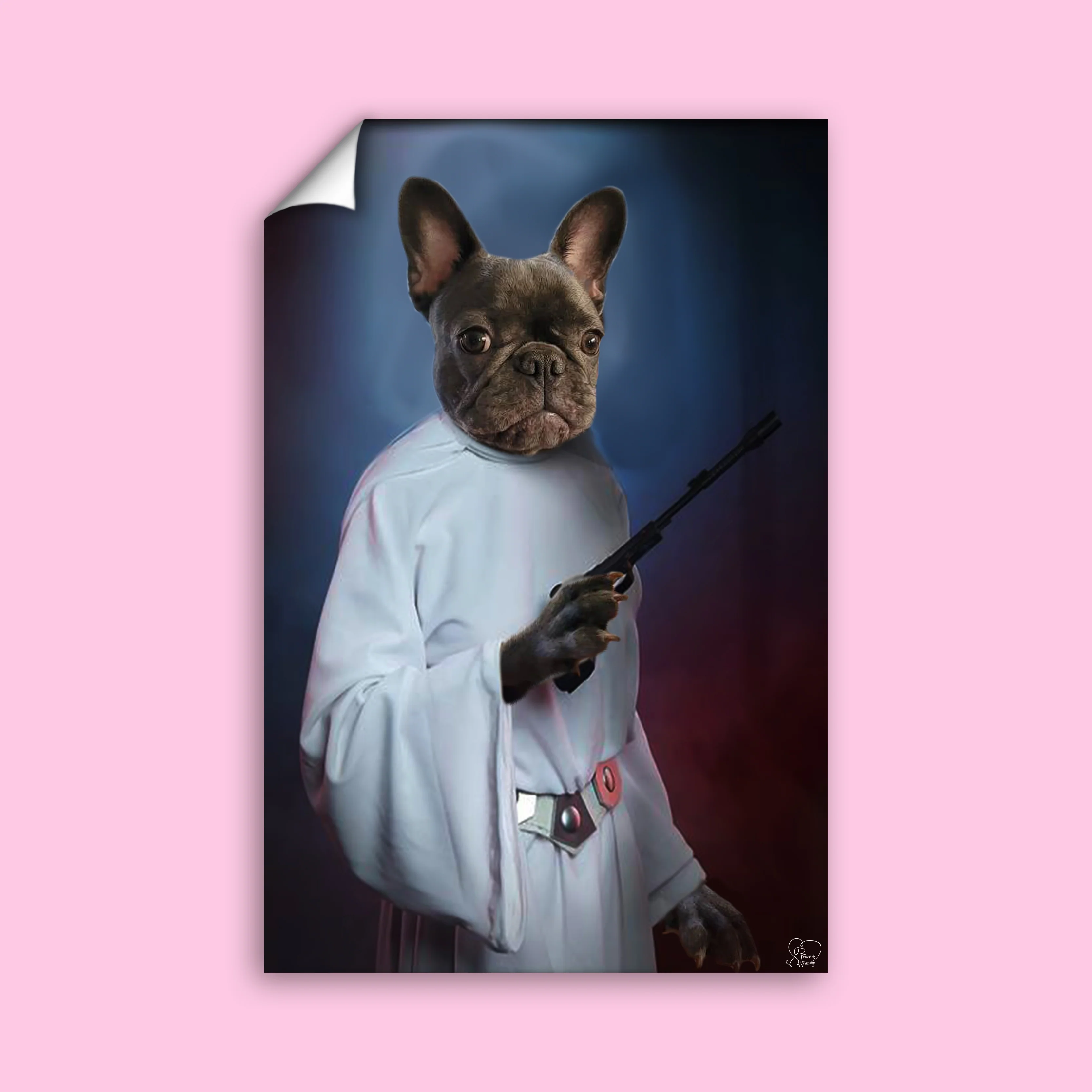 Darth Vader Star Wars - Custom Pet Portrait