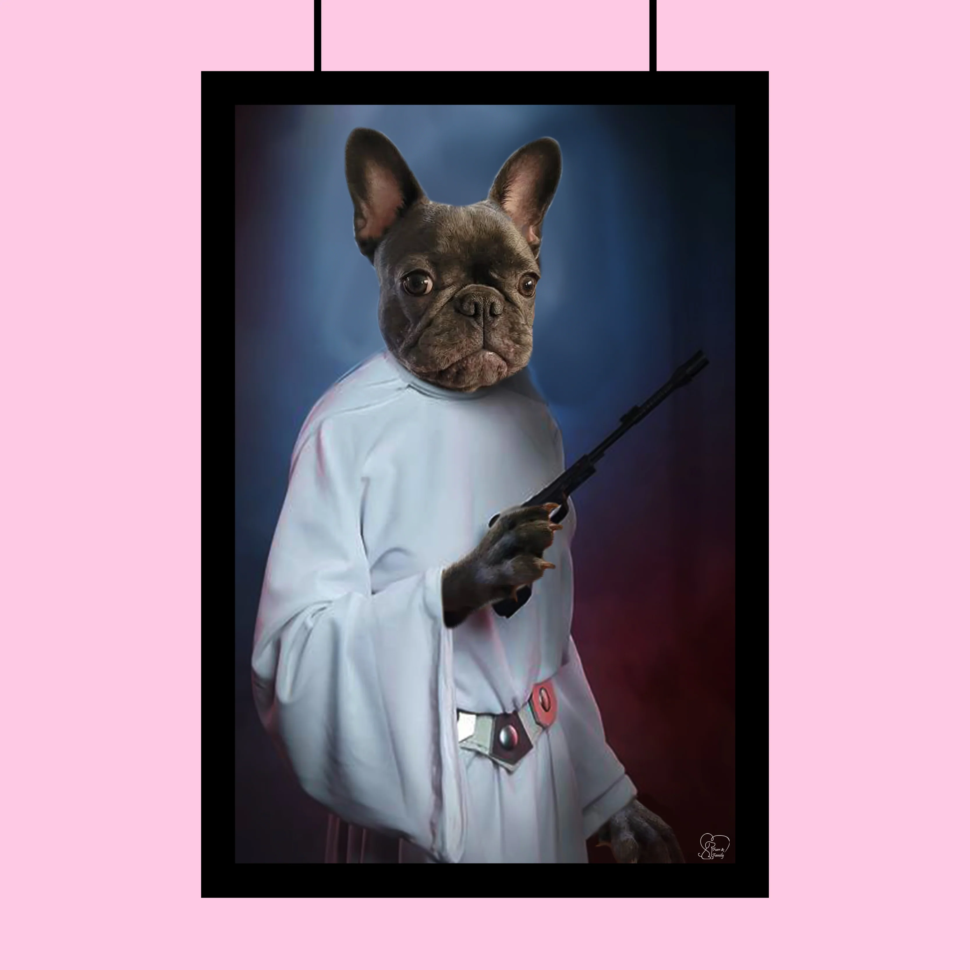 Darth Vader Star Wars - Custom Pet Portrait