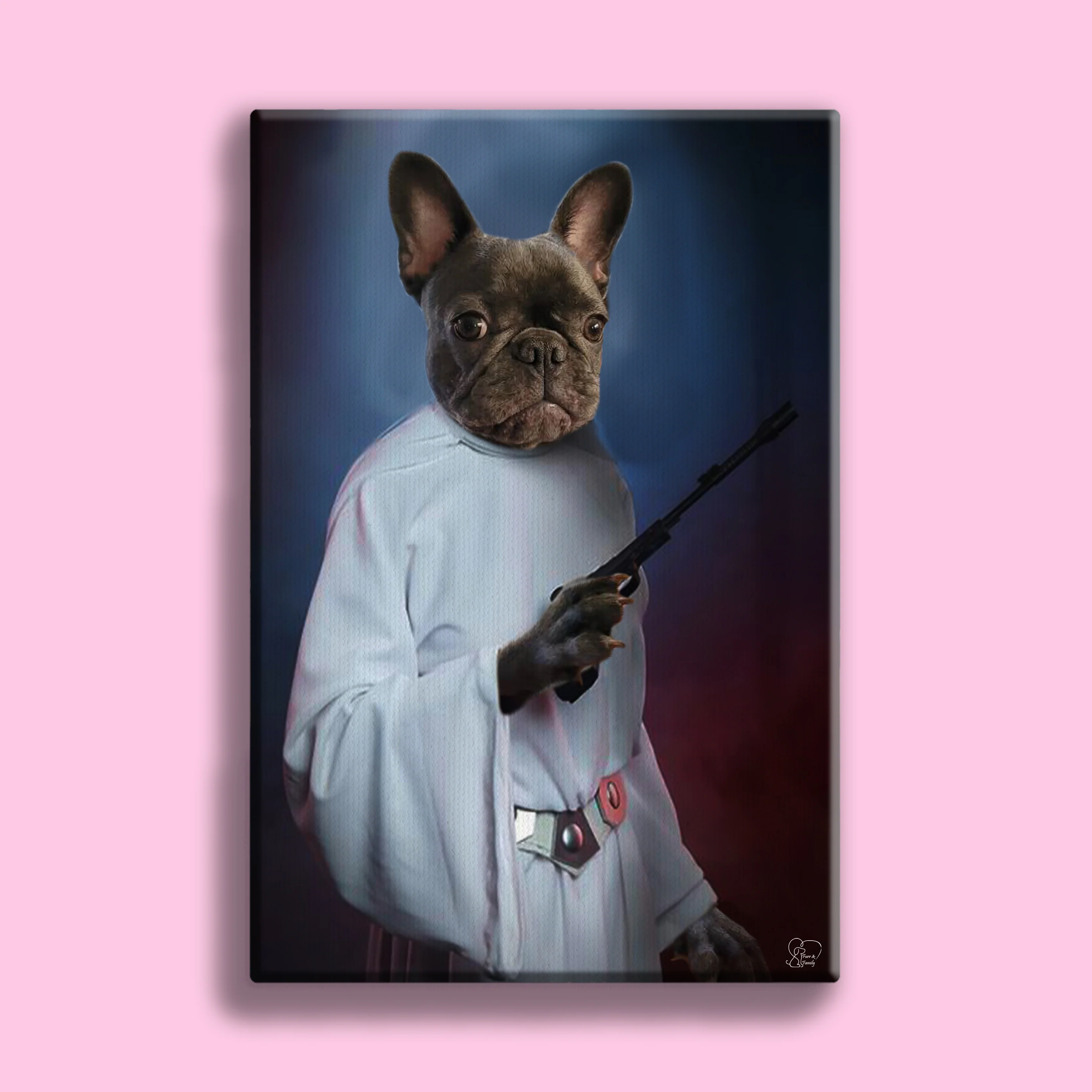 Darth Vader Star Wars - Custom Pet Portrait